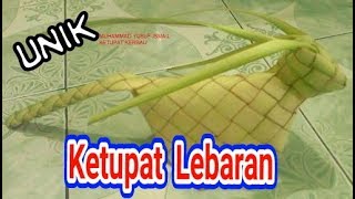 Detail Gambar Ketupat Lebaran Lucu Nomer 23