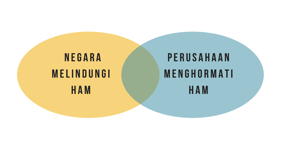 Detail Gambar Kewajiban Tanggung Jawab Negara Pemerintah Nomer 36