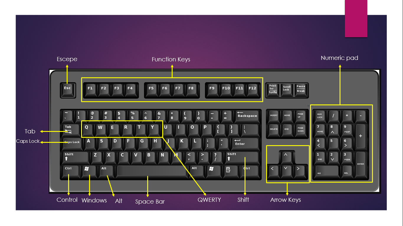 Detail Gambar Keyboard Komputer Pertama Nomer 48