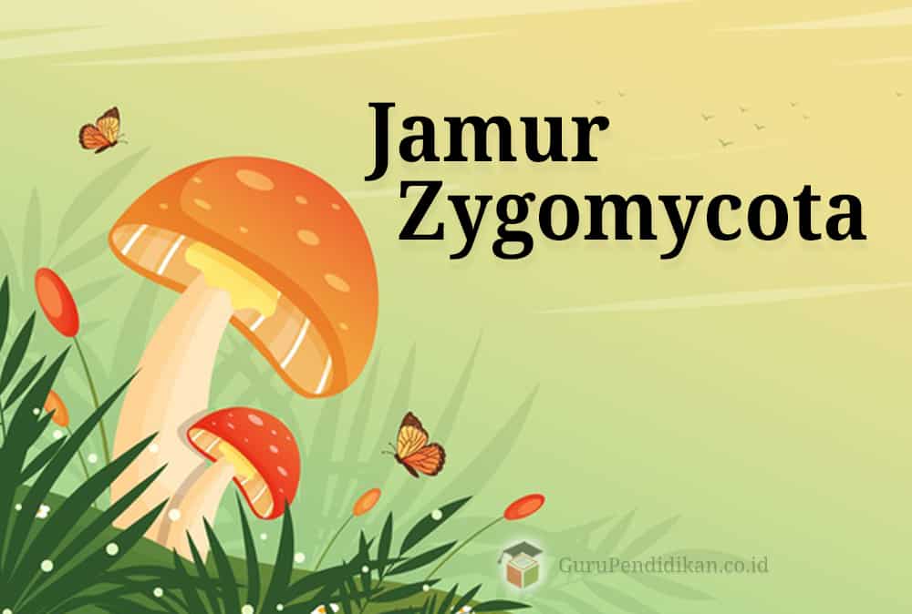 Detail Gambar Kindom Fungi Chytridiomycota Nomer 26