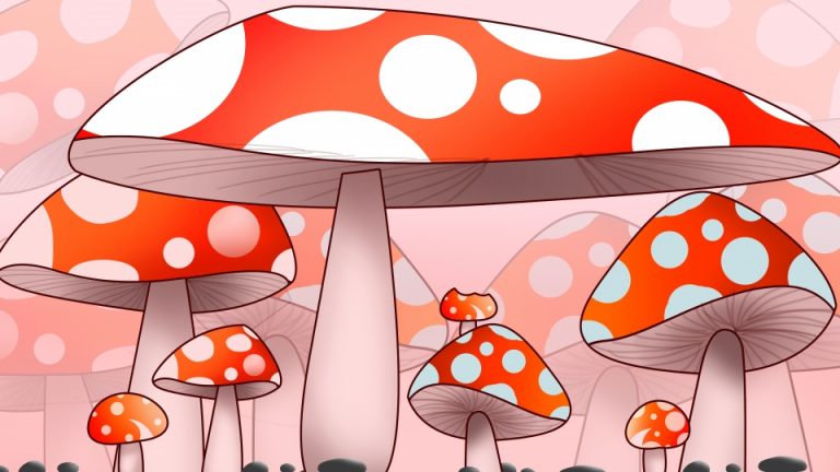 Detail Gambar Kindom Fungi Serta Namanya Nomer 41