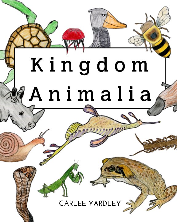 Detail Gambar Kingdom Animalia Nomer 15