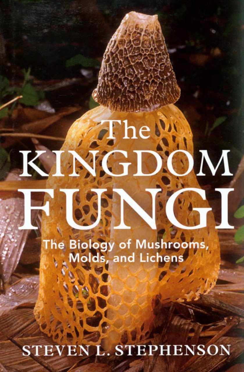 Detail Gambar Kingdom Fungi Nomer 19