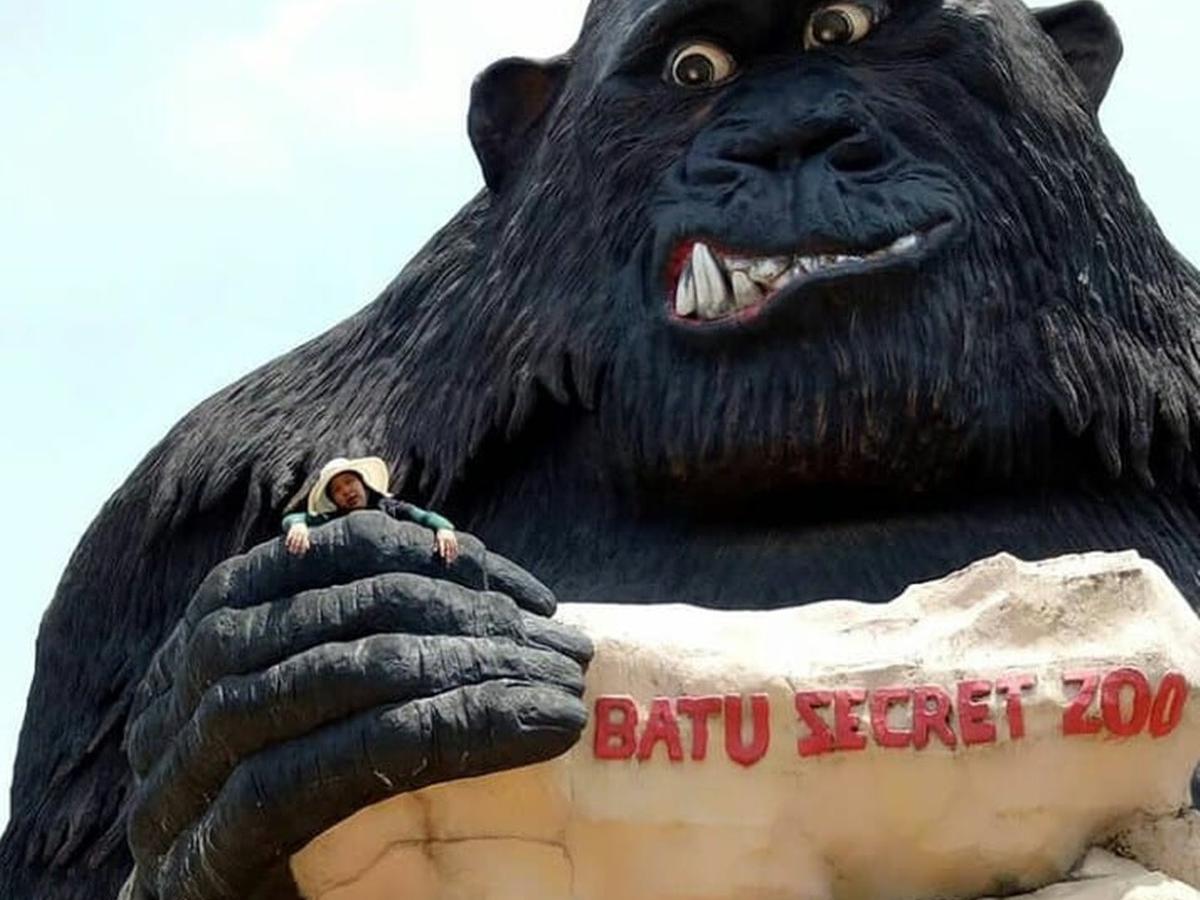 Detail Gambar Kingkong Marah Nomer 26