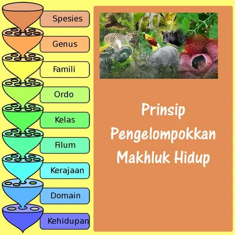 Detail Gambar Klasifikasi Makhluk Hidup Nomer 6