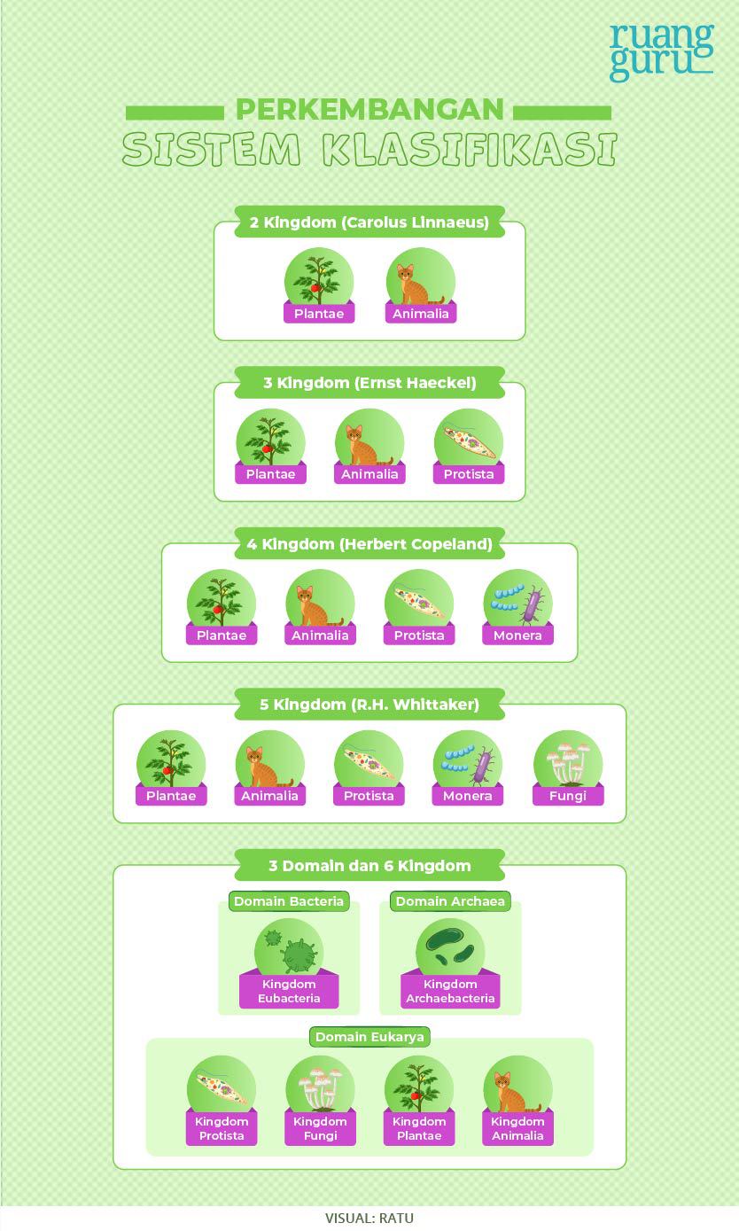 Detail Gambar Klasifikasi Makhluk Hidup Nomer 48