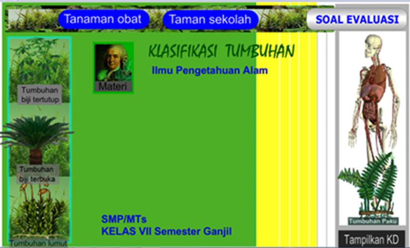 Detail Gambar Klasifikasi Tumbuhan Nomer 27