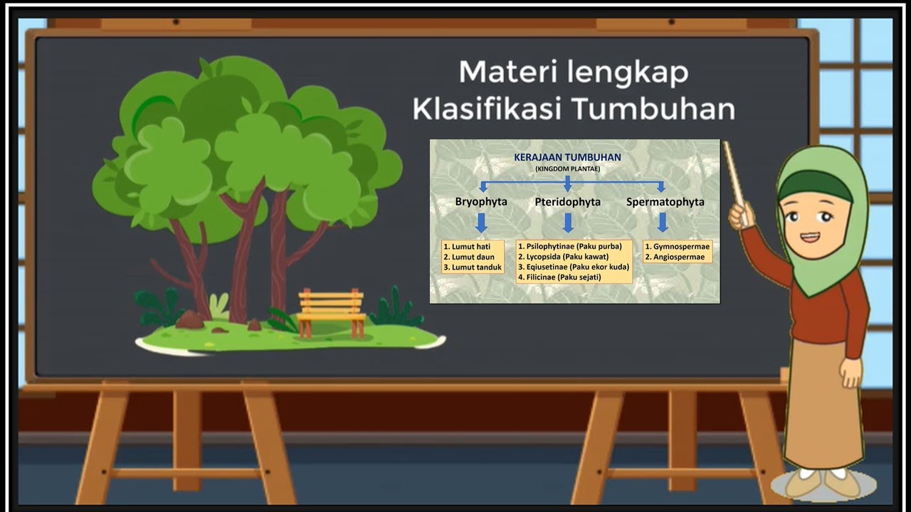 Detail Gambar Klasifikasi Tumbuhan Nomer 7