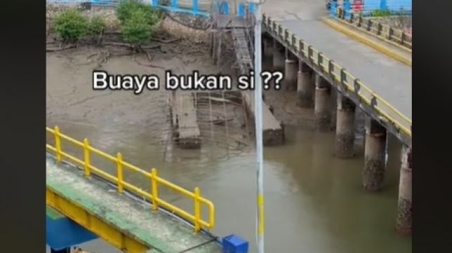 Detail Gambar Kocak Bergerak Nomer 27