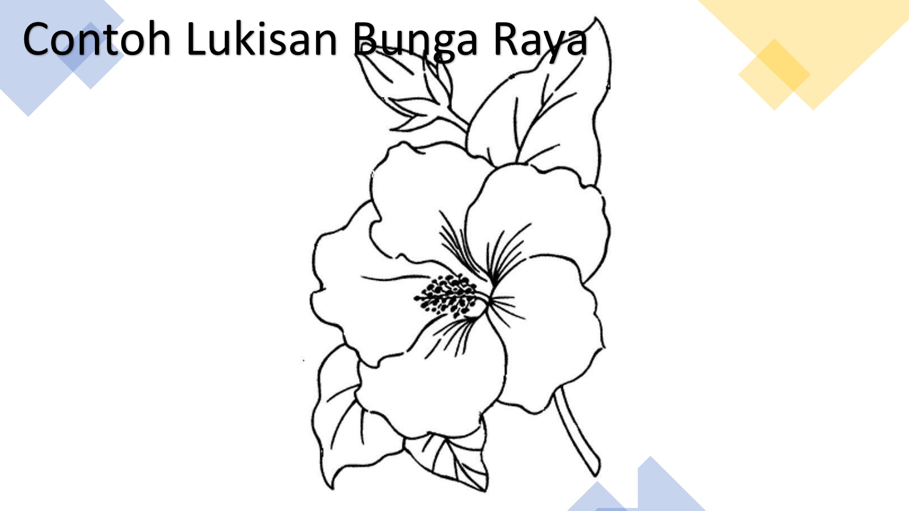 Detail Gambar Kolaj Bunga Raya Nomer 18