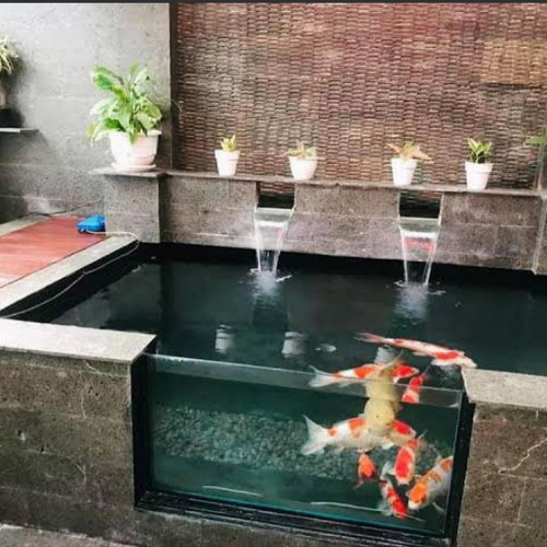 Detail Gambar Kolam Ikan Nomer 23