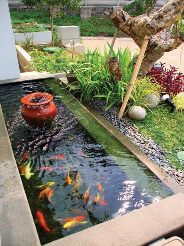 Detail Gambar Kolam Ikan Nomer 35