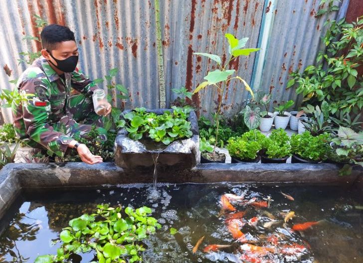 Detail Gambar Kolam Ikan Belakang Rumah Nomer 18