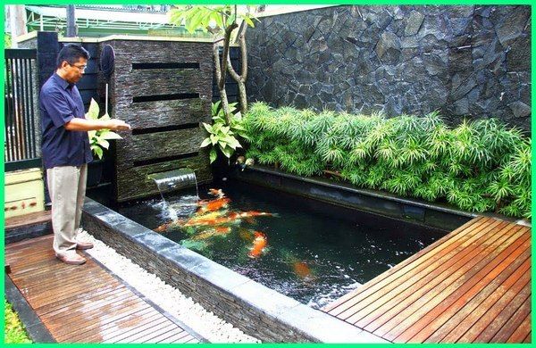 Detail Gambar Kolam Ikan Hias Sederhana Nomer 14