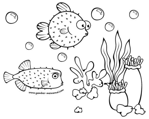Detail Gambar Kolam Ikan Hitam Putih Nomer 9