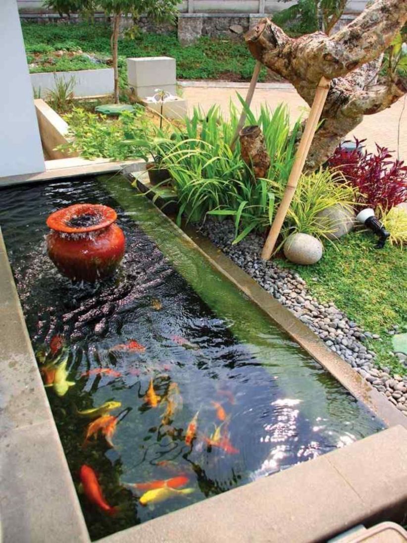 Detail Gambar Kolam Ikan Sederhana Depan Rumah Nomer 15