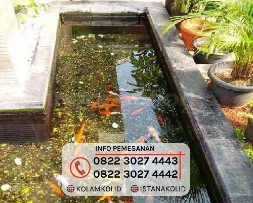 Detail Gambar Kolam Ikan Sederhana Depan Rumah Nomer 32