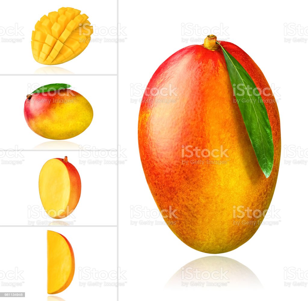 Detail Gambar Kolase Buah Mangga Nomer 26