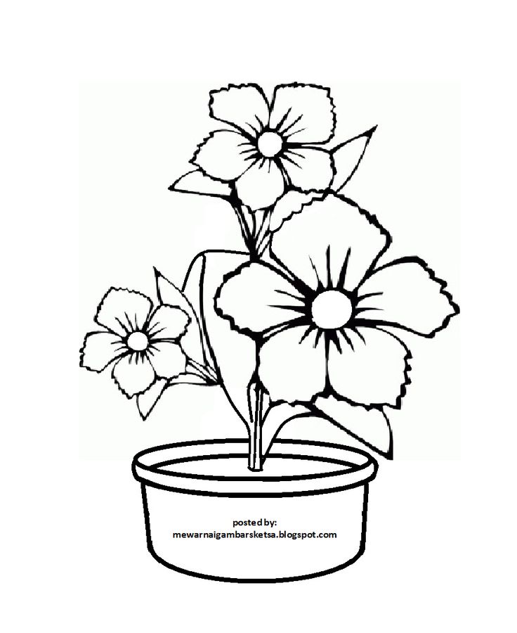 Detail Gambar Kolase Bunga Hitam Putih Nomer 7