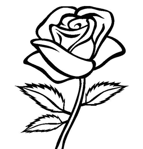 Detail Gambar Kolase Bunga Mawar Yang Cantik Nomer 22