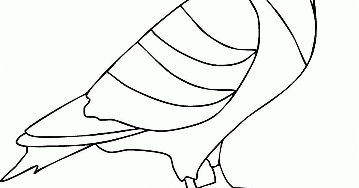 Detail Gambar Kolase Burung Merpati Nomer 41