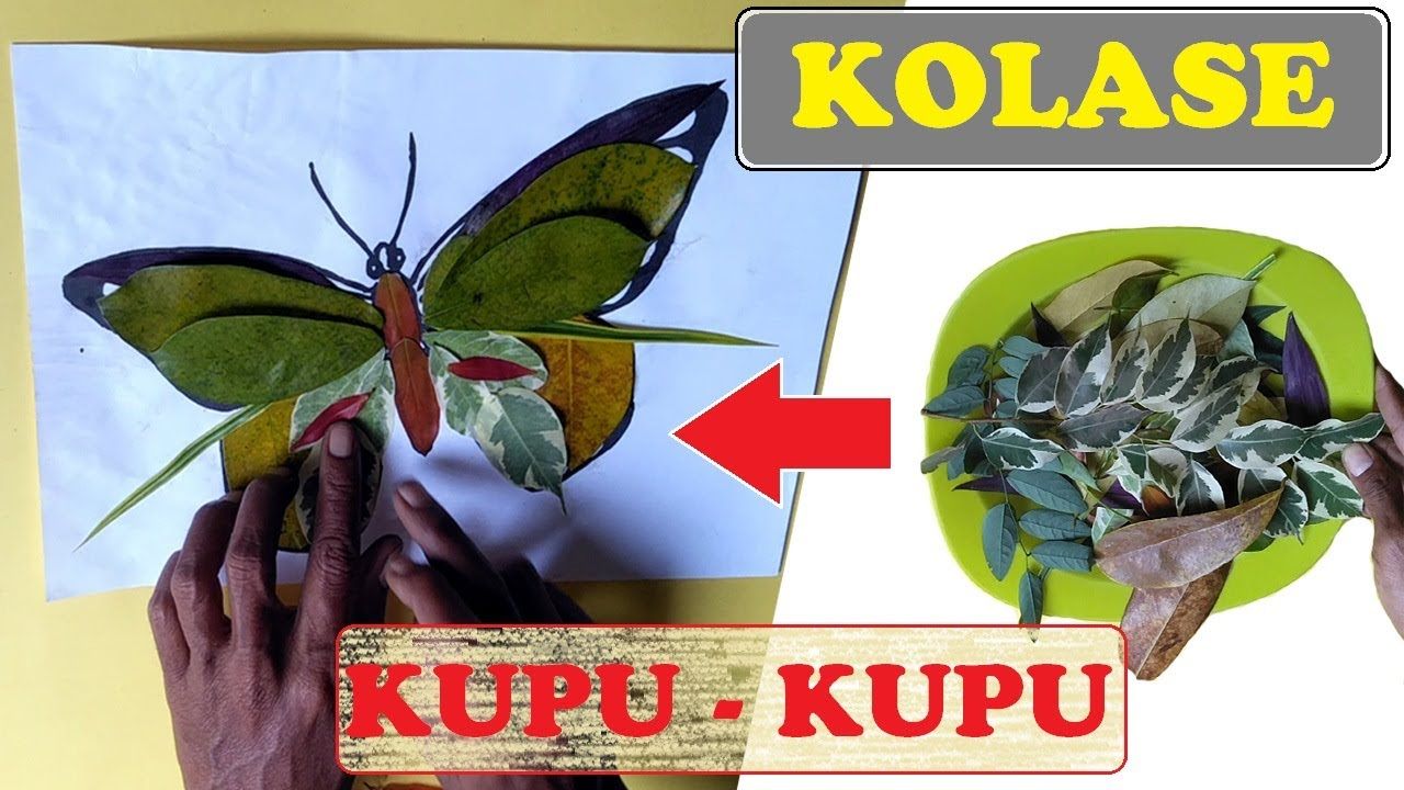 Detail Gambar Kolase Gambar Kupu Kupu Nomer 51