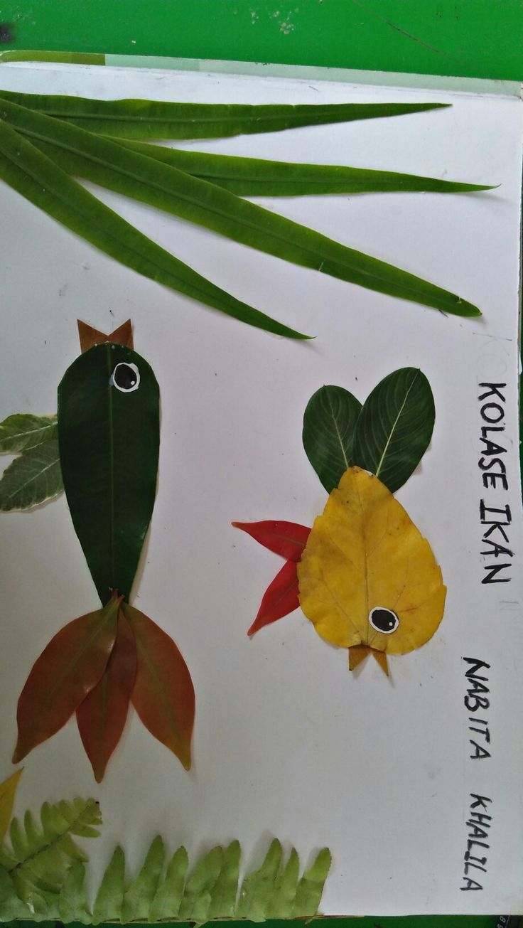 Detail Gambar Kolase Ikan Dari Daun Kering Nomer 19