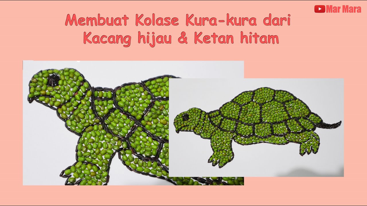 Detail Gambar Kolase Kura Kura Nomer 8