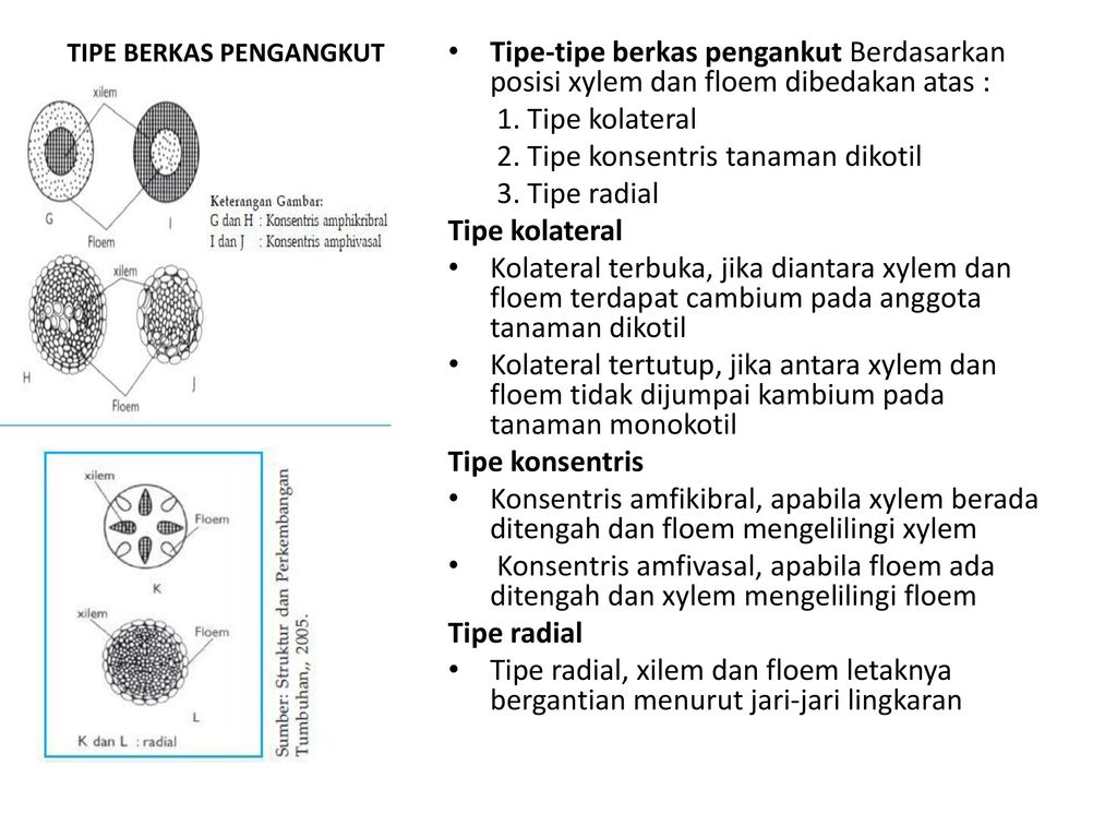 Detail Gambar Kolateral Terbuka Nomer 39