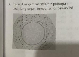 Detail Gambar Kolateral Terbuka Nomer 41