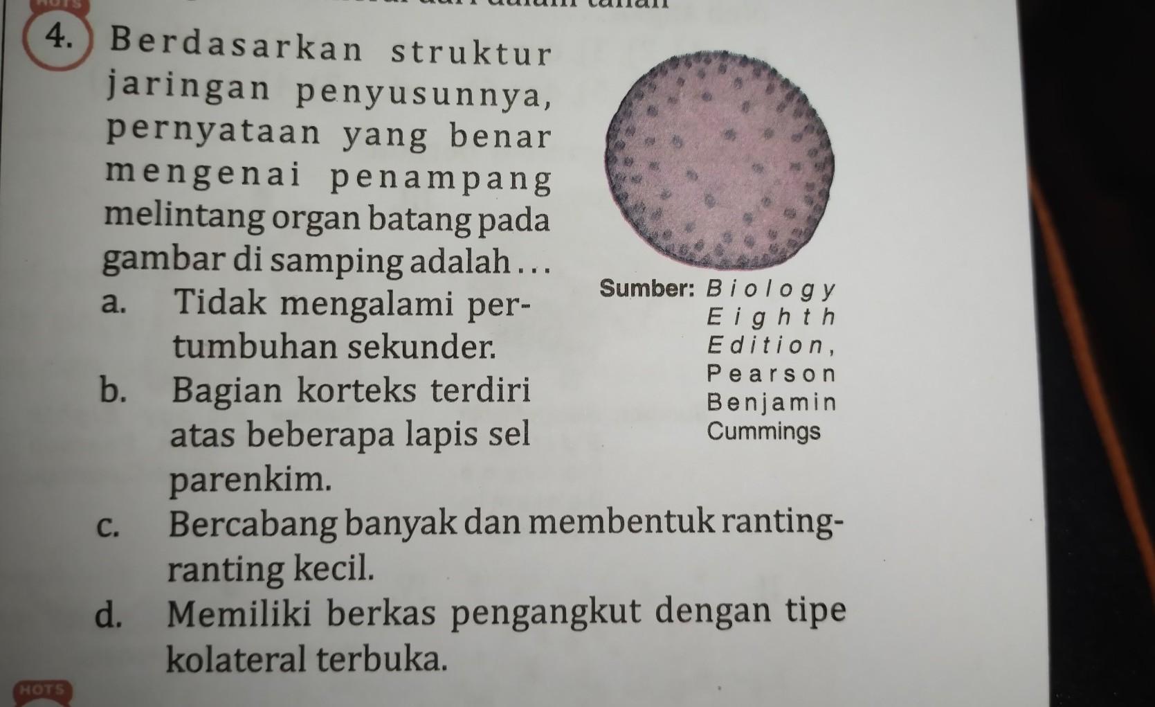 Detail Gambar Kolateral Terbuka Nomer 44