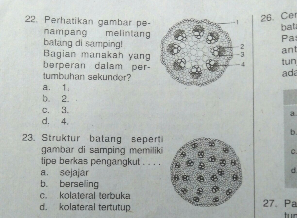 Detail Gambar Kolateral Terbuka Dan Tertutup Nomer 19