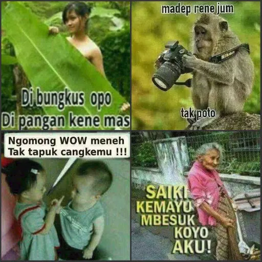 Detail Gambar Komen Fb Lucu Bahasa Jawa Nomer 31