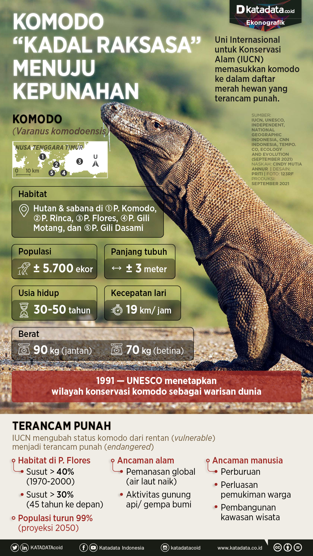 Detail Gambar Komodo Raksasa Nomer 13