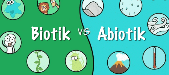 Detail Gambar Komponen Biotik Dan Abiotik Nomer 3