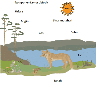 Detail Gambar Komponen Biotik Dan Abiotik Nomer 29