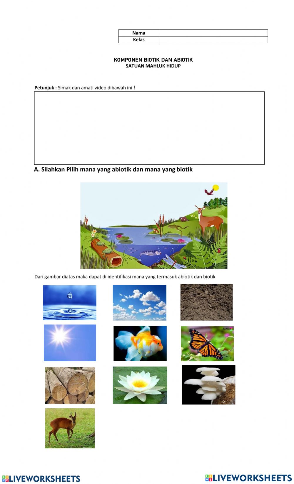 Detail Gambar Komponen Biotik Dan Abiotik Nomer 7