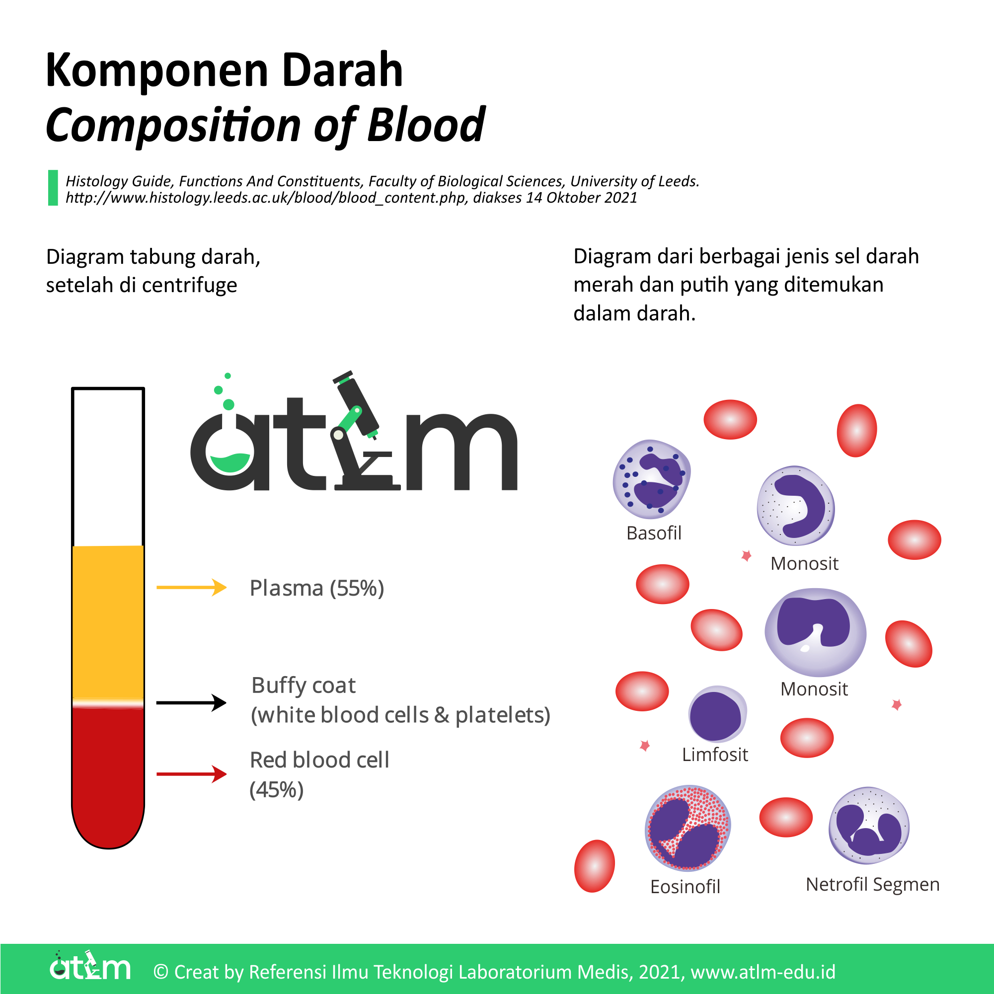 Detail Gambar Komponen Darah Nomer 16