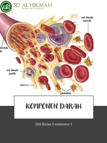 Detail Gambar Komponen Darah Nomer 22