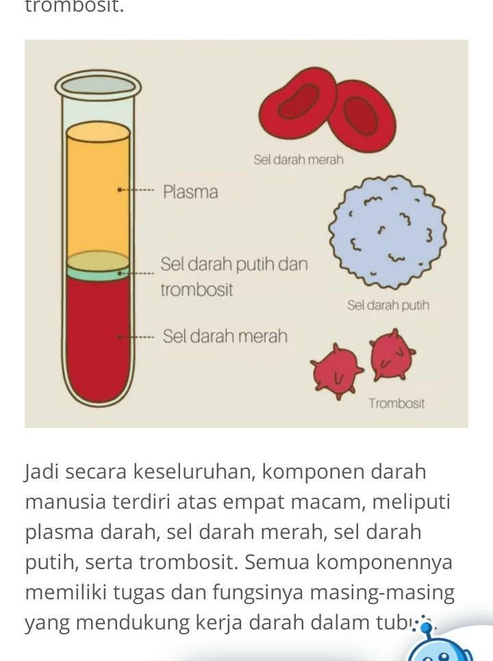 Detail Gambar Komponen Darah Nomer 35