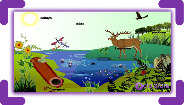 Detail Gambar Komponen Ekosistem Nomer 15
