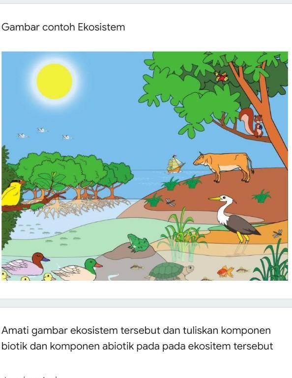 Detail Gambar Komponen Ekosistem Nomer 18