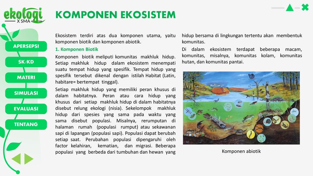 Detail Gambar Komponen Ekosistem Nomer 22