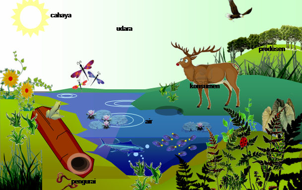 Detail Gambar Komponen Ekosistem Nomer 5