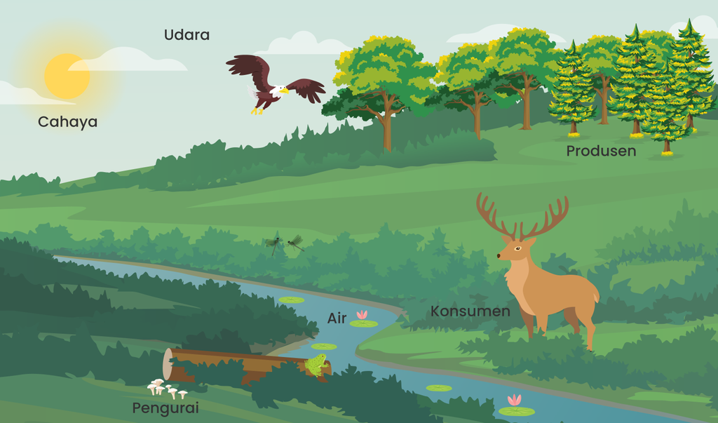 Detail Gambar Komponen Ekosistem Nomer 55