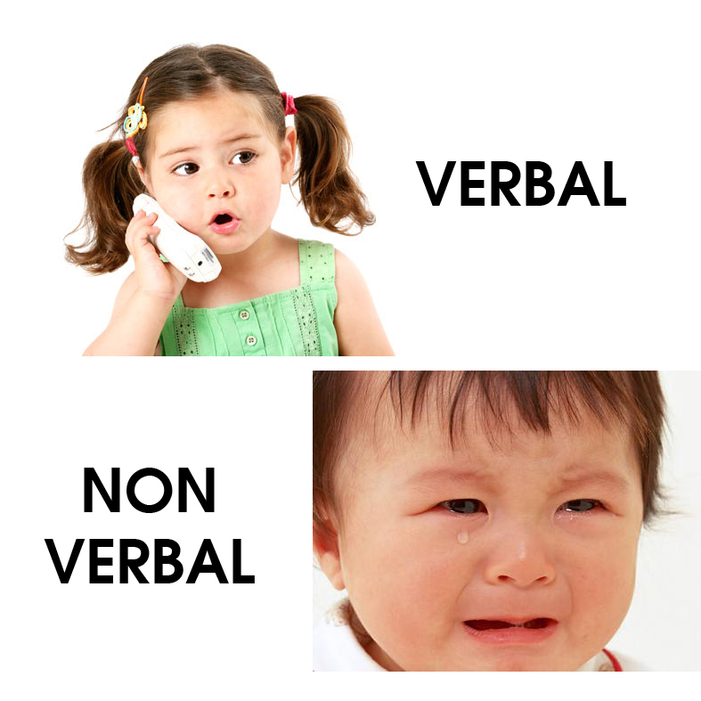 Detail Gambar Komunikasi Non Verbal Dan Verbal Nomer 17