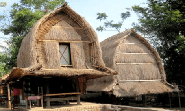 Detail Gambar Konstruksi Rumah Tradisional Suku Sasak Lombok Nomer 4