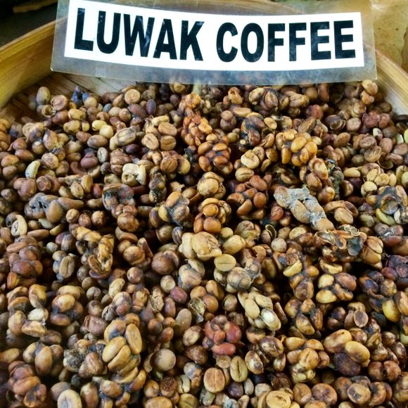 Detail Gambar Kopi Luwak Nomer 13