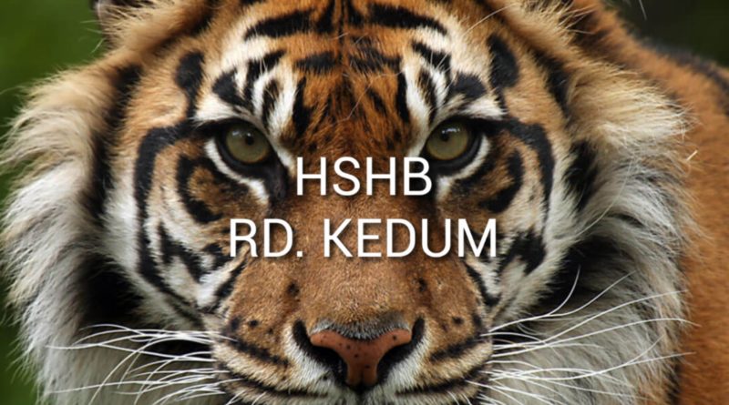 Detail Gambar Kosong Bentuk Harimau Nomer 12