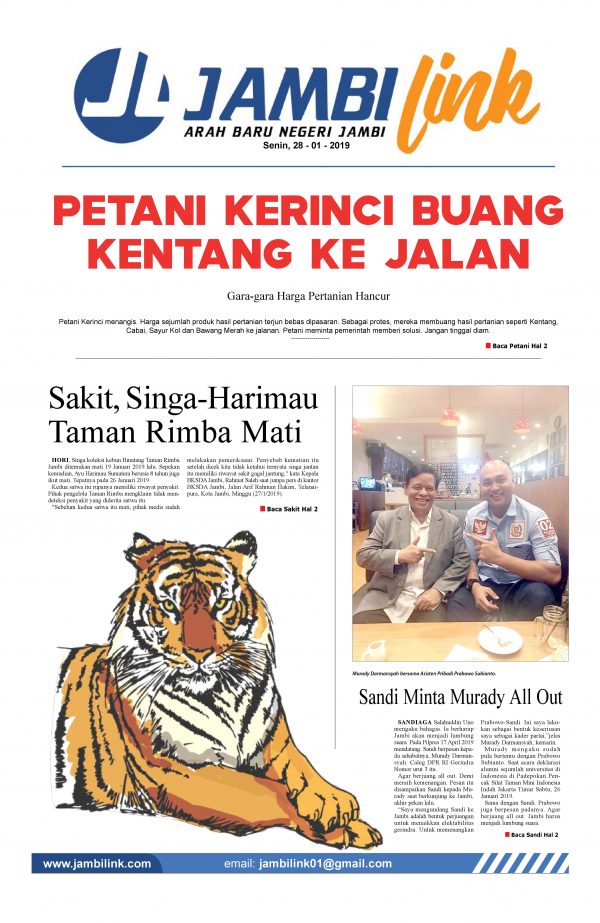 Detail Gambar Kosong Bentuk Harimau Nomer 40